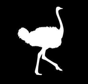 Flying Ostrich Media, Inc.