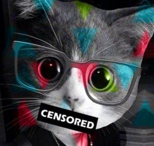 😼GatitaRadical 