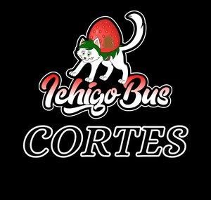 Ichigo Bus Cortes
