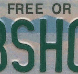 LiveFreeAndBushcraft