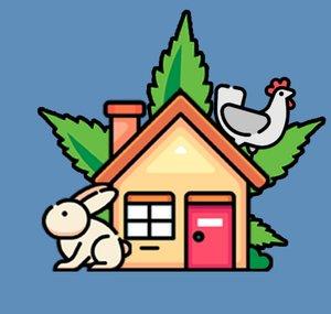 small BACKYARD HOMESTEAD