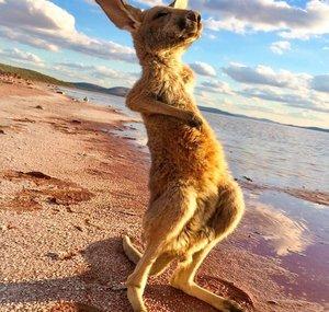 South Australia