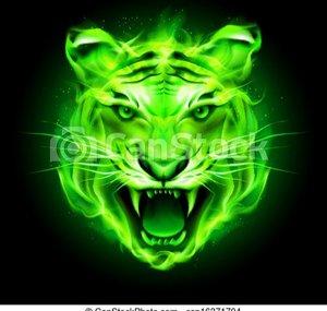 Tiger boy 303
