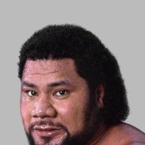 Tonga Fifita