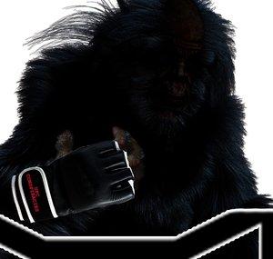 UFC Conspiracies