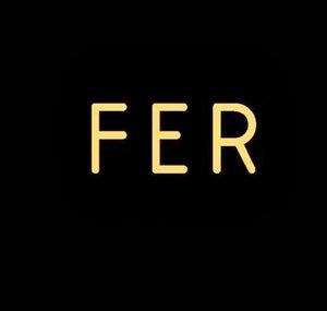 FER Videos
