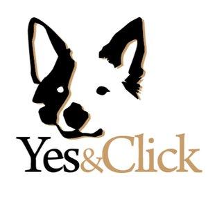 HechiAsia Yes&Click