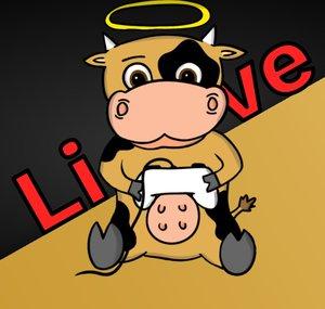 HolyCow Live
