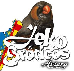 Jeko 88