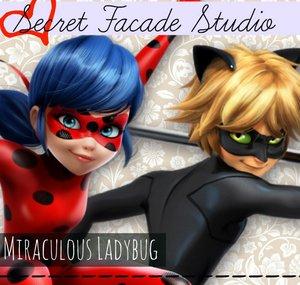 SecretFacadeStudio