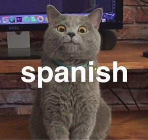Señor Michael
