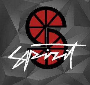 Spirit D. Tective