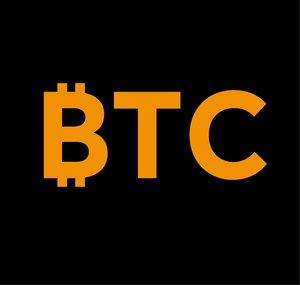 The Bitcoin Conference