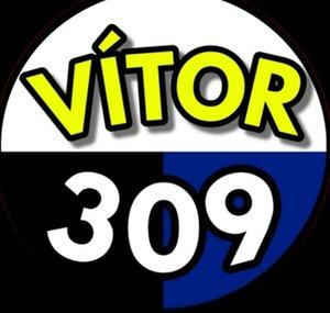 Vítor 309