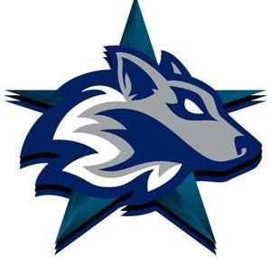 WolfStar Gaming
