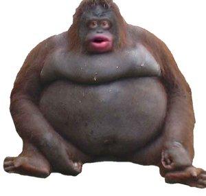 blezt