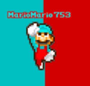 MarioMario753