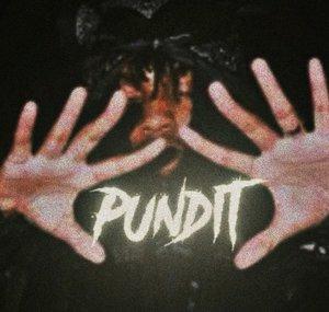 Pundit