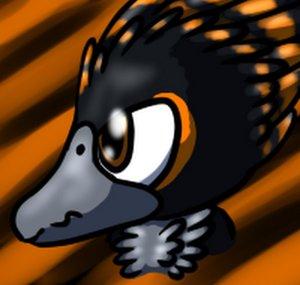 Reckless Raven