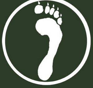 ReWildUniversity