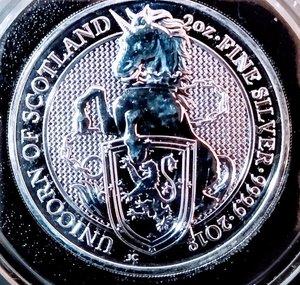 Silver Unicorn