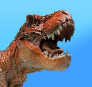 Amazing Dinosaurs