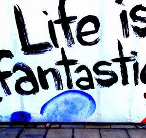 FantasticLife