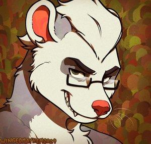 FlakFerret
