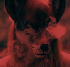 j.vash