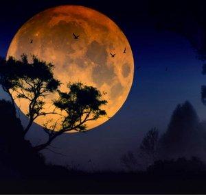 MoonSoon Records