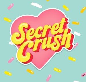 Secret Crush