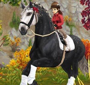 Star Stable Updates