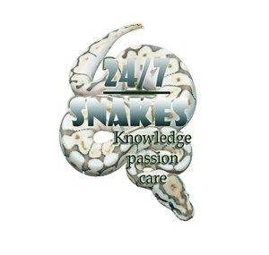 The247snakes