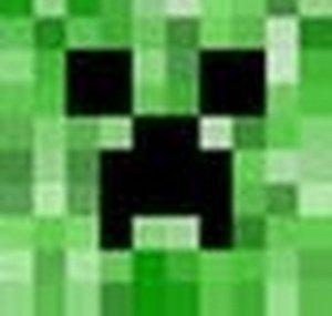 TheMinecraftCrowd