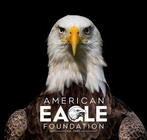 American Eagle Foundation