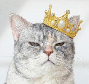 Claire Luvcat