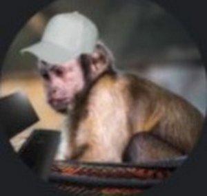 m0moGTA