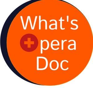What's Opera Doc - For Professional Opera Singers
