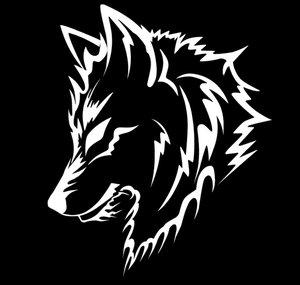 Wolf AI Privacy
