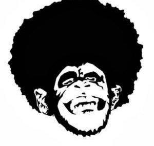 zxFunkiiMonkey