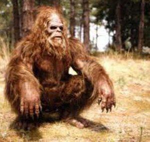 Big Foot