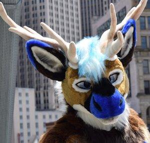 BluNoseReindeer