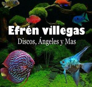 Efren Villegas