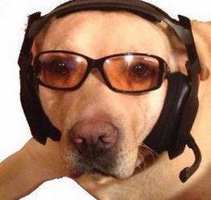 IVPgaming