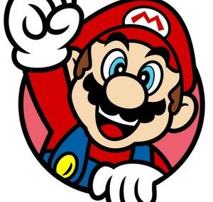Mario Gaming 315