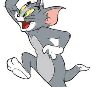 MissTomCaTT