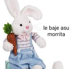 Plutes