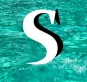 Stay See
