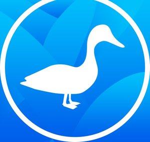 TheBuildingDuck