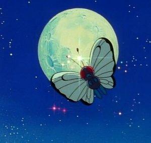 toru